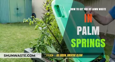 Eco-Friendly Lawn Waste Disposal Tips for Palm Springs Residents