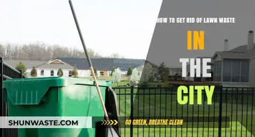 Eco-Friendly Urban Solutions: Managing and Disposing of Lawn Waste in Cities