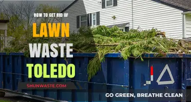 Eco-Friendly Lawn Waste Disposal Tips for Toledo Residents