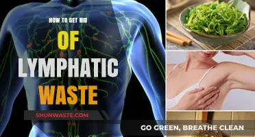 Effective Strategies to Detoxify and Eliminate Lymphatic Waste Naturally