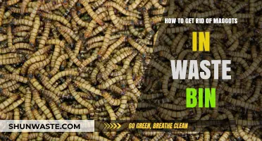 Effective Ways to Eliminate Maggots from Your Waste Bin Fast