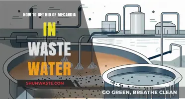 Effective Methods to Eliminate Mecardia from Wastewater Systems