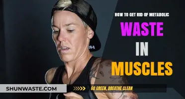 Effective Strategies to Eliminate Metabolic Waste from Muscles
