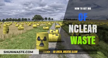 Safe Solutions: Effective Strategies for Managing and Eliminating Nuclear Waste