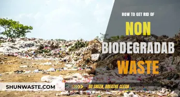 Effective Strategies to Eliminate Non-Biodegradable Waste and Protect Our Planet