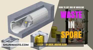 Safe Nuclear Waste Disposal Strategies for a Sustainable Spore Civilization
