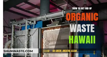 Eco-Friendly Solutions: Managing Organic Waste in Hawaii Effectively