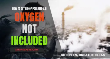 Purifying Polluted Air in Oxygen Not Included: Strategies Revealed