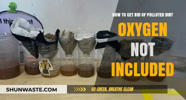 Purifying Polluted Dirt: Tips for Oxygen Not Included