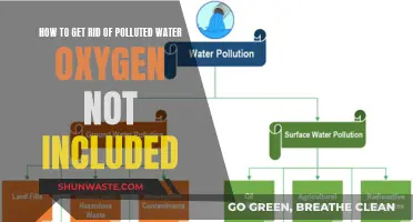 Natural Methods to Purify Water: Beyond Oxygen