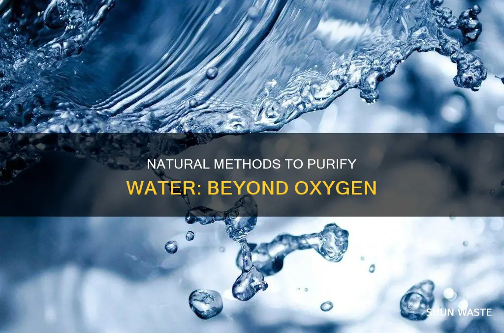 how to get rid of polluted water oxygen not included