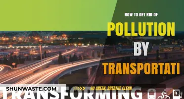 Green Transport: Reducing Pollution with Sustainable Practices
