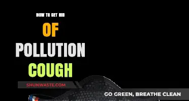 Eradicating the Pollution Cough: Natural Remedies for Relief
