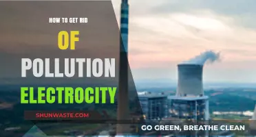 Electrifying Solutions to Combat Pollution