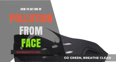 Erase Pollution's Traces for Healthy, Glowing Skin