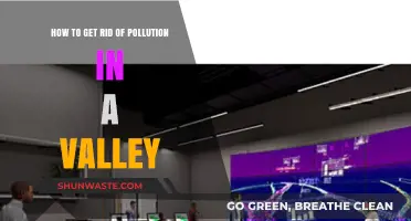 Eradicating Valley Pollution: Strategies for Clean Air