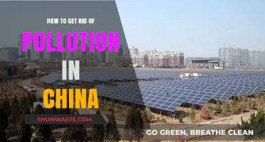 China's Pollution Crisis: Strategies for Clean Air