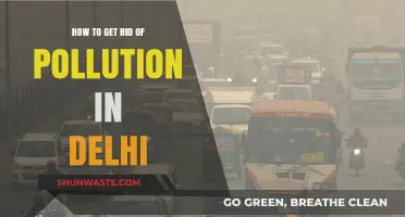 Delhi's Pollution: Strategies for a Cleaner Future