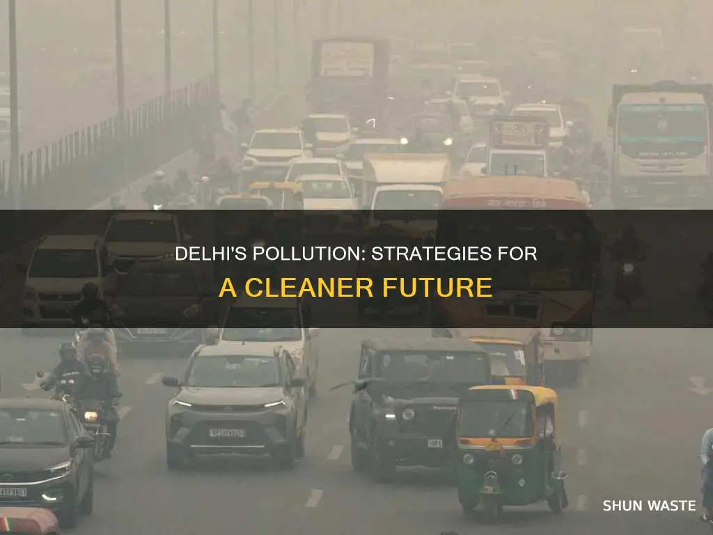 how to get rid of pollution in delhi