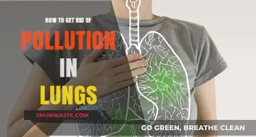 Breathing Clean: Natural Lung Detox Methods