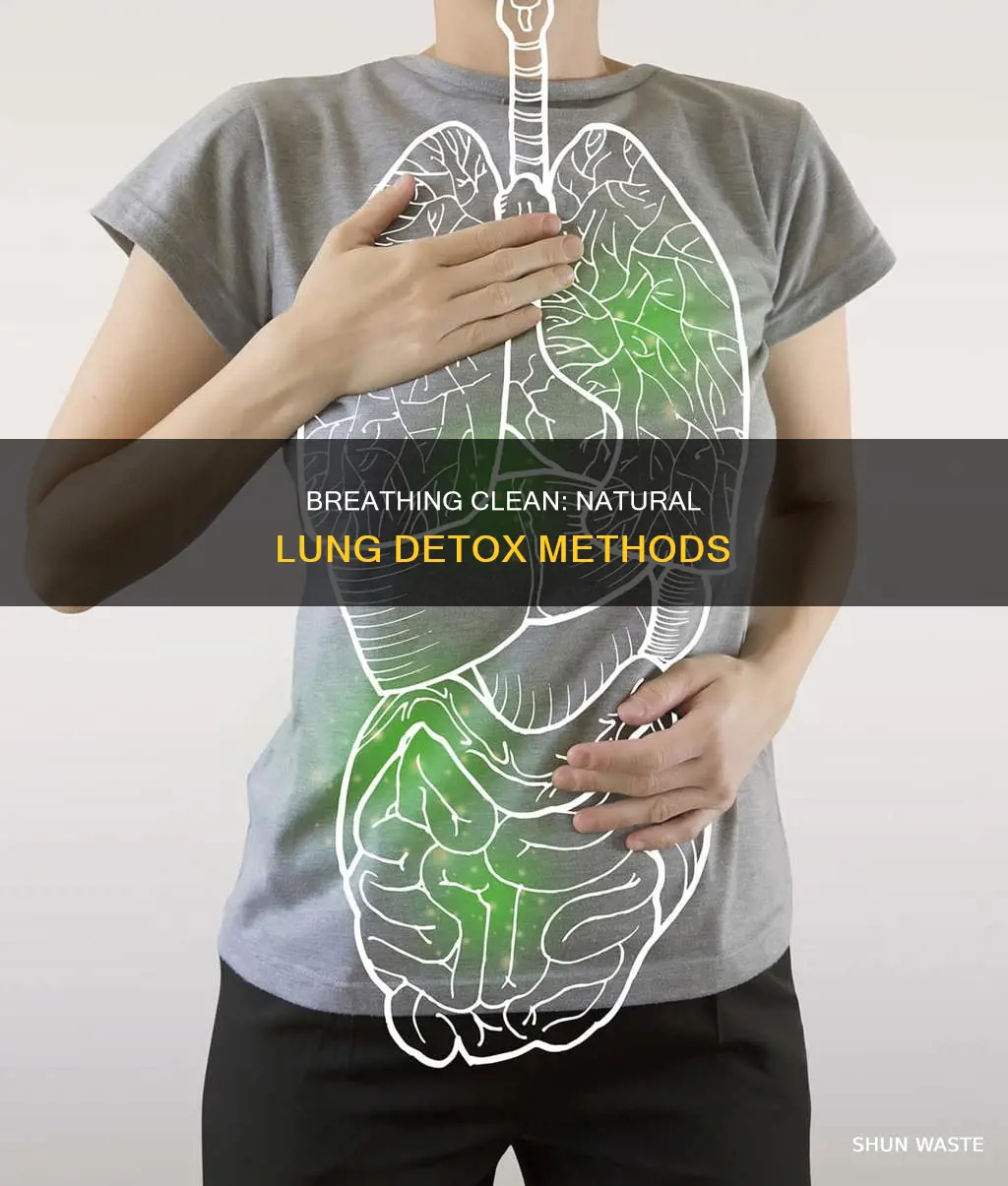 how to get rid of pollution in lungs