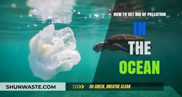 Ocean Pollution: Strategies for a Cleaner Future