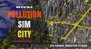 Sim City: Strategies to Combat Pollution