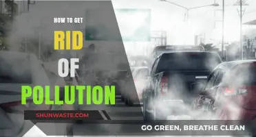 Strategies to Combat Pollution and Protect Our Planet