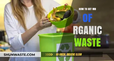 Effective Strategies for Eliminating Organic Waste Sustainably and Efficiently