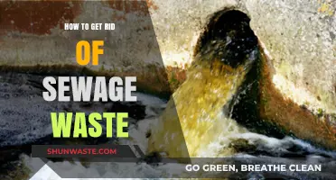 Effective Methods to Safely Dispose of Sewage Waste
