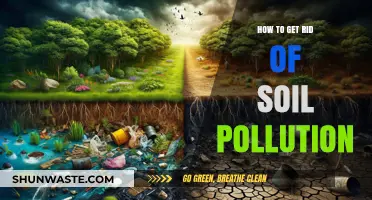Strategies to Combat Soil Pollution and Protect Our Planet