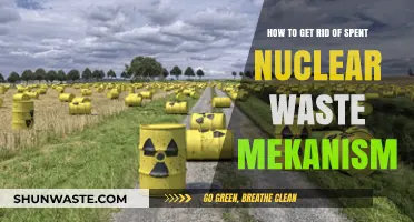 Effective Methods for Disposing of Spent Nuclear Waste in Mekanism