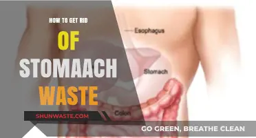 Effective Ways to Eliminate Stomach Waste and Boost Digestion Naturally