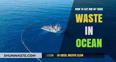 Effective Strategies to Eliminate Toxic Ocean Waste and Restore Marine Ecosystems