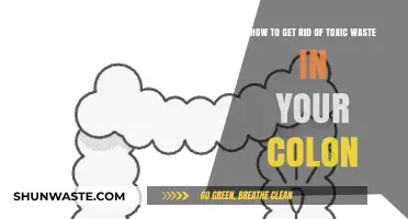Detox Your Colon: Effective Ways to Eliminate Toxic Waste Safely