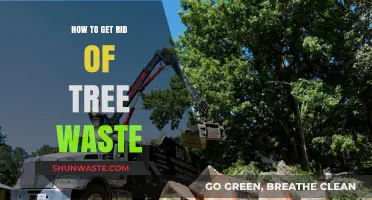 Efficient Tree Waste Removal: Eco-Friendly Tips for a Cleaner Yard