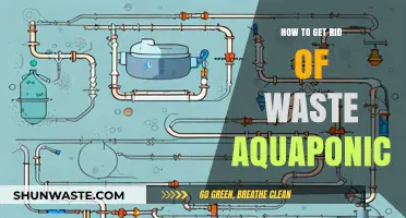 Effective Methods to Dispose of Waste Aquaponic Materials Safely