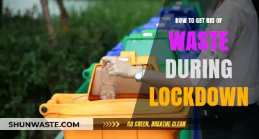 Effective Waste Management Tips for a Clean Home During Lockdown