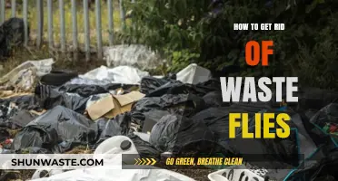 Effective Ways to Eliminate Waste Flies and Keep Your Home Clean