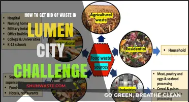 Effective Strategies to Eliminate Waste in the Lumen City Challenge
