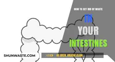 Effective Ways to Cleanse Your Intestines and Eliminate Waste Naturally