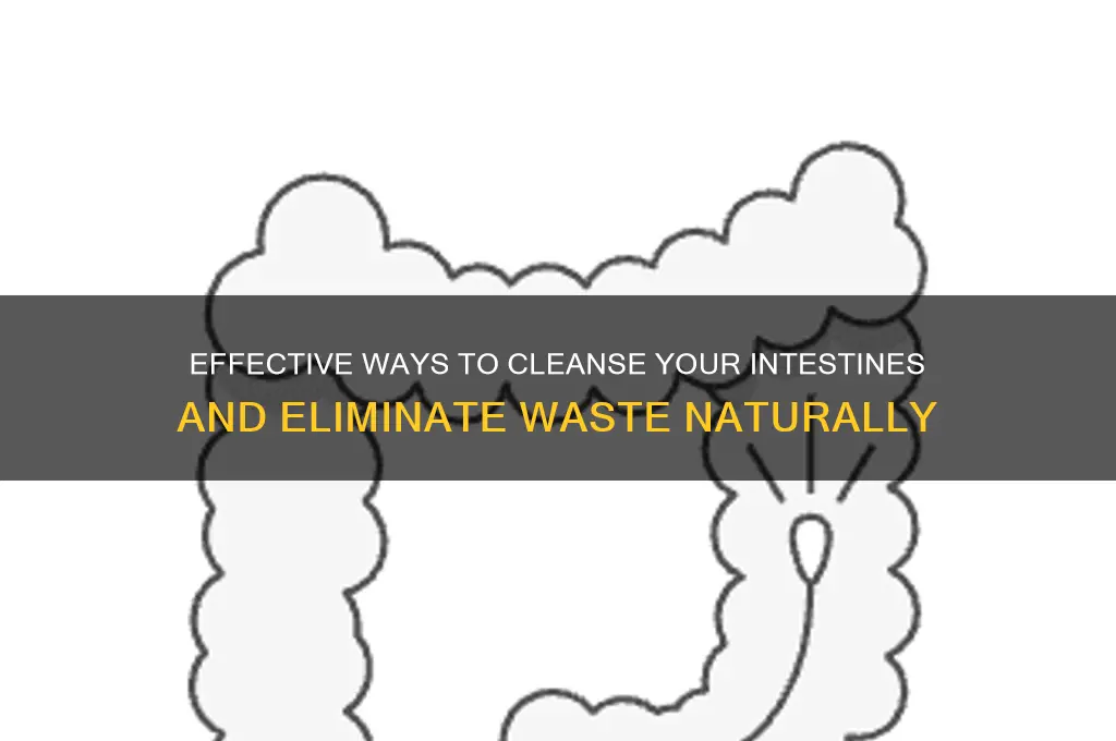 how to get rid of waste in your intestines