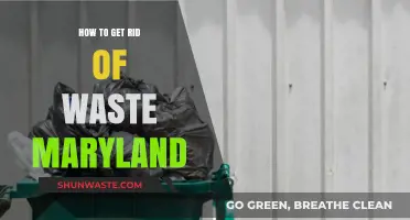 Effective Waste Disposal Tips for Maryland Residents: Clean & Green Solutions