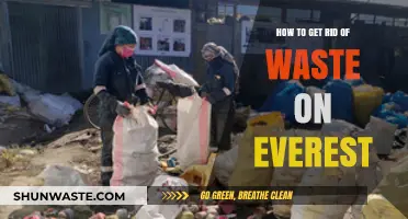 Sustainable Solutions: Cleaning Up Everest's Waste Crisis Effectively