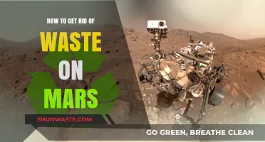 Efficient Waste Management Strategies for Sustainable Mars Colonization