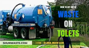 Effective Ways to Eliminate Toilet Waste and Maintain Cleanliness