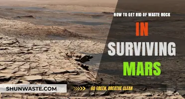 Efficient Waste Rock Disposal Strategies for Surviving Mars Colonies