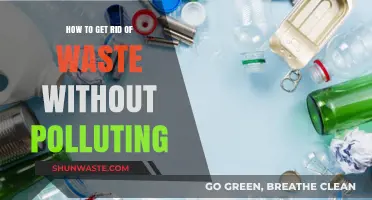 Green Waste Disposal: Eco-Friendly Ways to Get Rid of Trash