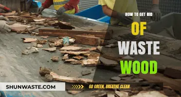 Eco-Friendly Solutions: Efficiently Dispose and Recycle Waste Wood Today