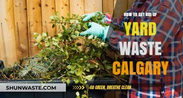 Efficient Yard Waste Disposal Tips for Calgary Residents